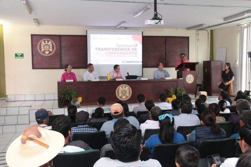 En este momento estás viendo Realiza UdeC transferencia de conocimientos en el manejo de abejas nativas de Colima