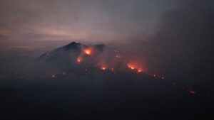 Lee más sobre el artículo Continúan 126 elementos de PC y dependencias federales combatiendo incendios en Manzanillo