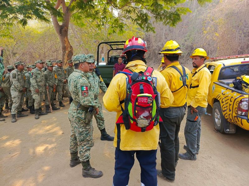 En este momento estás viendo Controlados al 80 por ciento incendios forestales en el Cerro del Toro, en Manzanillo