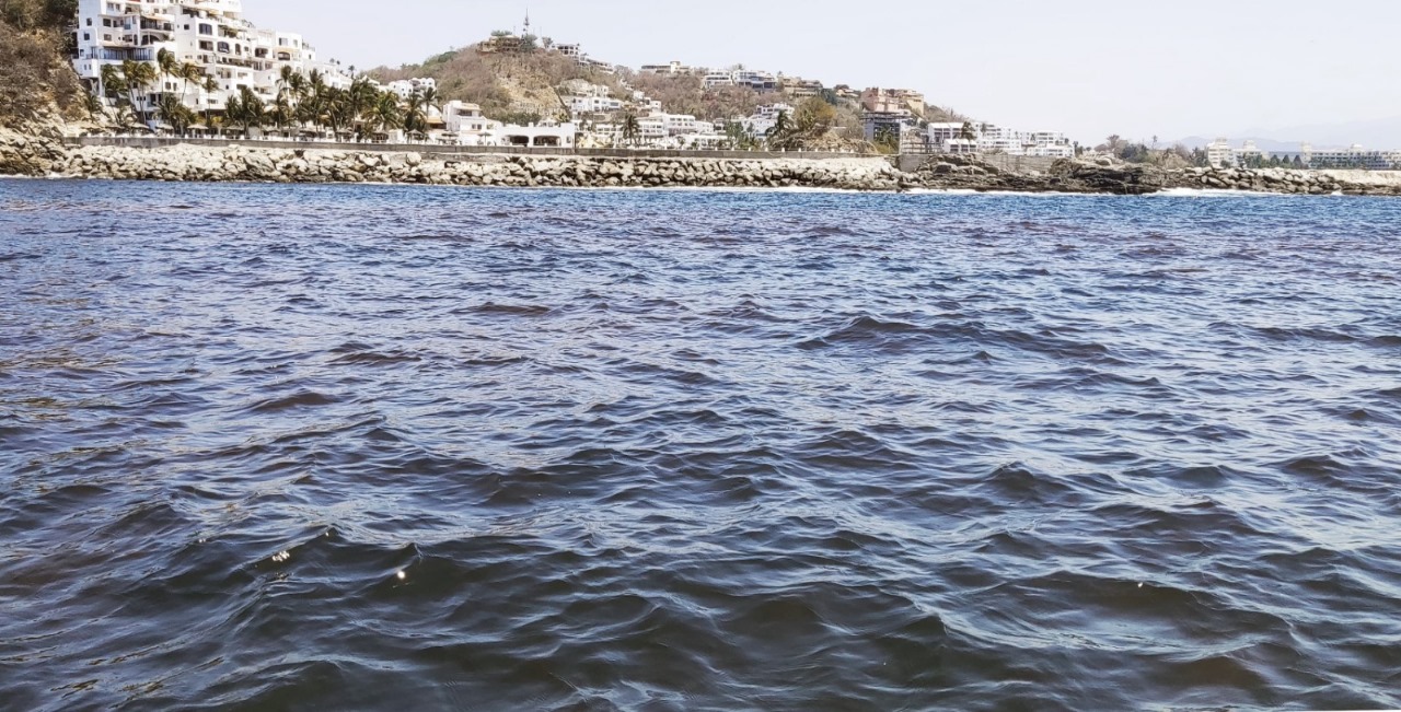 En este momento estás viendo Alerta Salud: detecta microalgas productoras de toxinas paralizantes en Bahías de Manzanillo