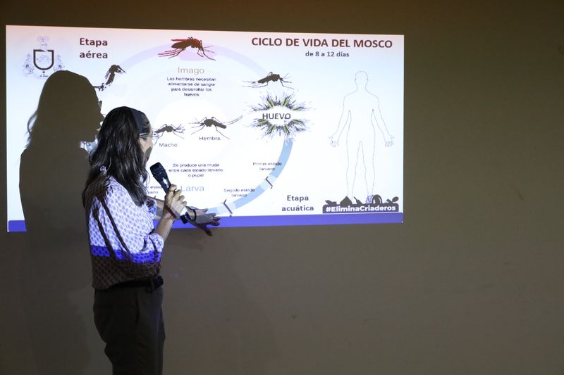 En este momento estás viendo Salud Colima suma al sector educativo en combate a dengue, zika y chikungunya