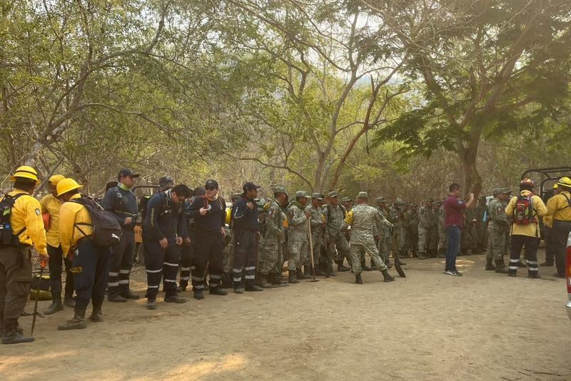 En este momento estás viendo UEPC: Incendio forestal en Manzanillo está totalmente controlado