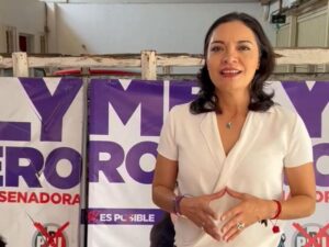 Lee más sobre el artículo Comenzará Mely Romero donación de caballetes y lonas publicitarias