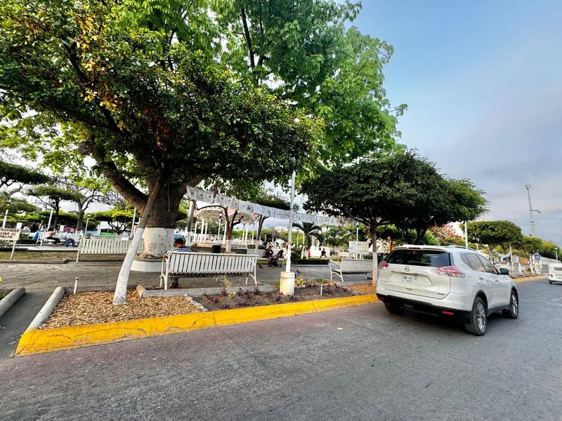 En este momento estás viendo Realizan adecuaciones a remodelación del jardín principal de Tecomán por recorte presupuestal