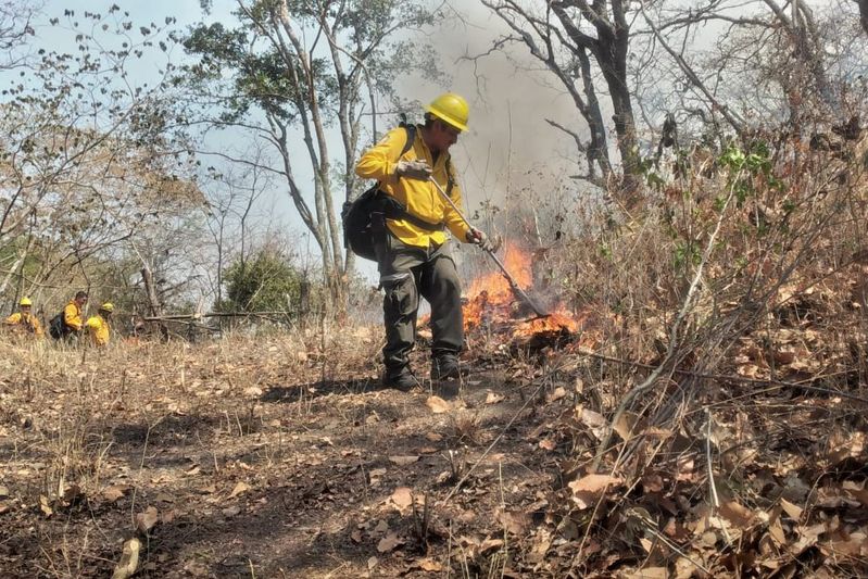 En este momento estás viendo UEPC y Conafor reportan 70% de avance en el control a incendios forestales en varios municipios