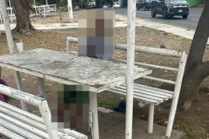 Lee más sobre el artículo Ultiman a hombre en el jardín de Arboledas del Carmen, en La Villa