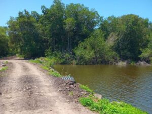 Lee más sobre el artículo Atiende comuna tecomense camino a Playa de Boca de Apiza