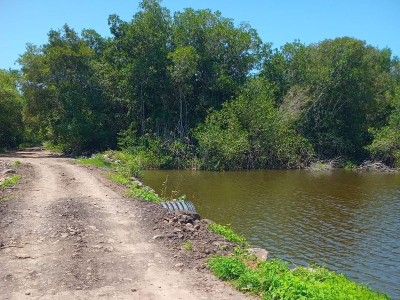 En este momento estás viendo Atiende comuna tecomense camino a Playa de Boca de Apiza