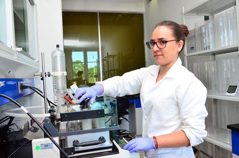 En este momento estás viendo Reconoce Conahcyt excelencia académica de investigadores colimenses