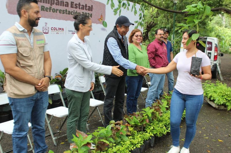 En este momento estás viendo Inició Gobierno Colima campaña de donación de plantas de café y árboles forestales