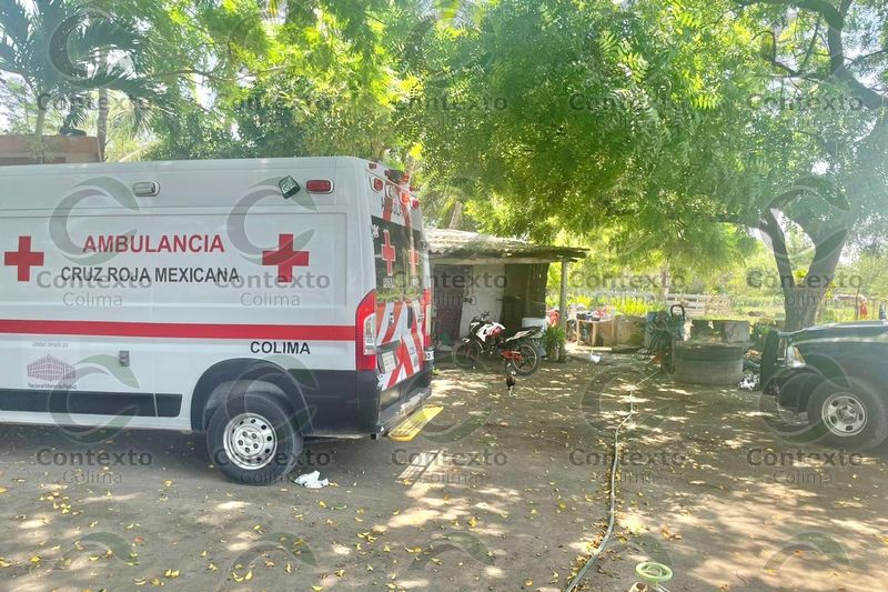 En este momento estás viendo Adolescente resulta herida en ataque de un pitbull en Tecomán