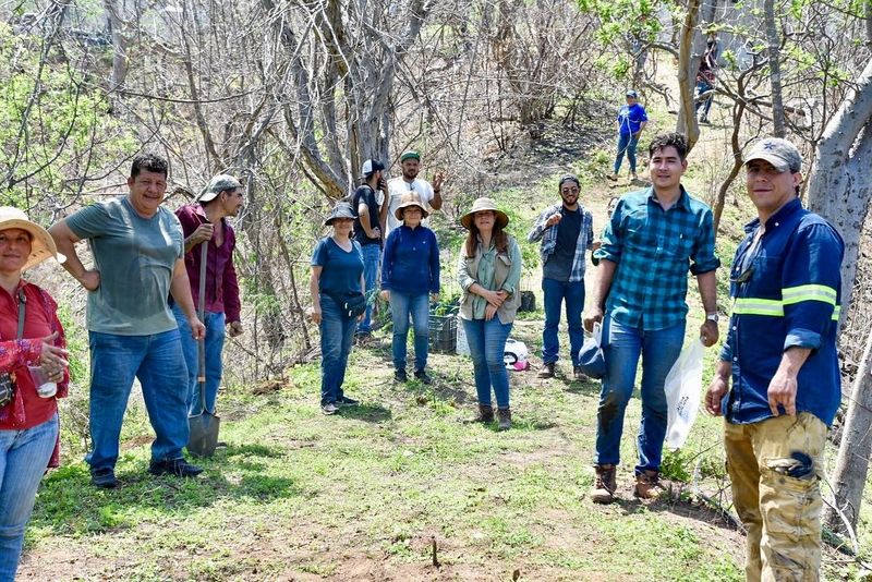 En este momento estás viendo Prepara Sembrando Vida terreno y plantas para reforestación del Cerro del Toro