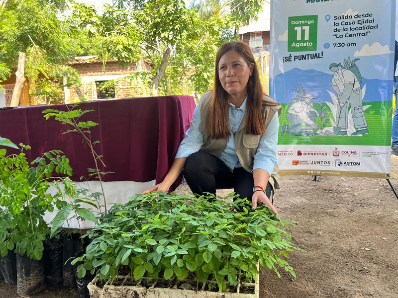 En este momento estás viendo Invitan a reforestar el Cerro del Toro, el próximo domingo 11 de agosto