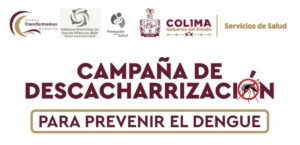 Lee más sobre el artículo Invita Diana Zepeda a participar en campaña de descacharrización en Los Reyes