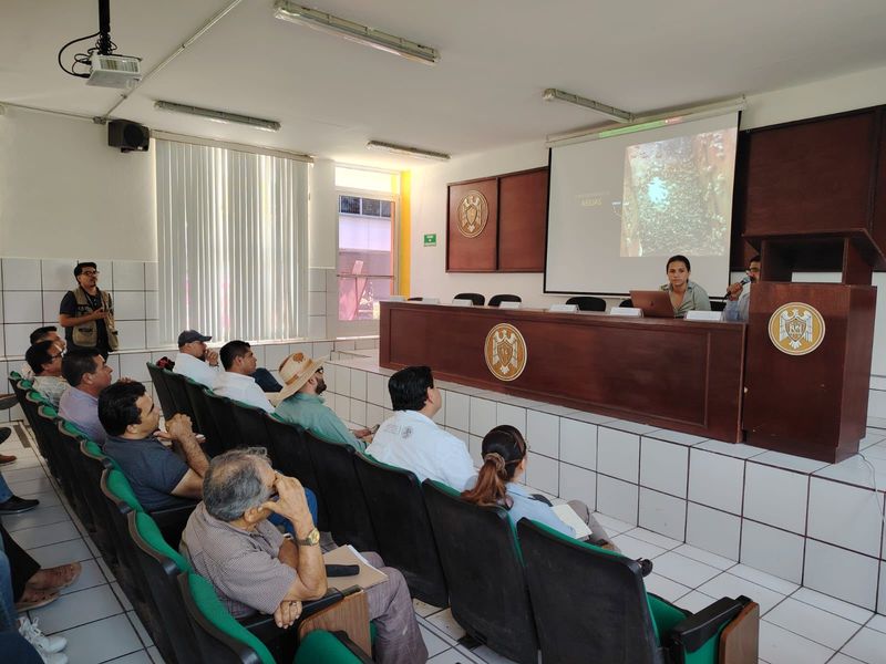 En este momento estás viendo Imparten taller para proteger a las abejas polinizadoras en Colima