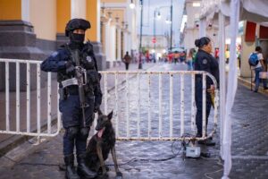 Lee más sobre el artículo ¿Vas al ‘Grito’ y el concierto de Tania Libertad? Éstas son las recomendaciones