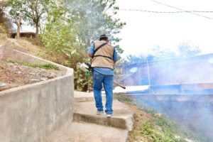 Lee más sobre el artículo Fumiga Salud en 5 municipios contra el dengue; incluye Comala y Coquimatlán