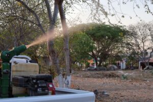 Lee más sobre el artículo Fumigará Salud contra dengue en 5 municipios este jueves; en Manzanillo se hará en 44 colonias