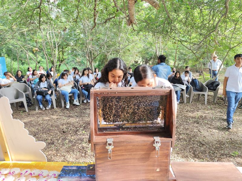 En este momento estás viendo Alrededor de 40 estudiantes de bachillerato aprendieron sobre la importancia de las abejas