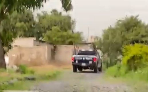 En este momento estás viendo Policías de Villa de Álvarez atropellan y matan a perrito que dormía en la calle