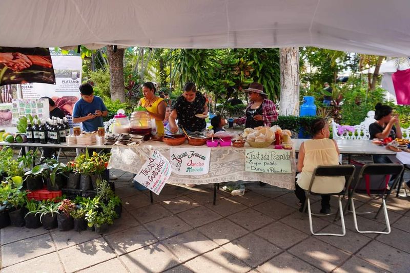 En este momento estás viendo Próximo viernes, será la jornada cultural en el Festival del Maíz