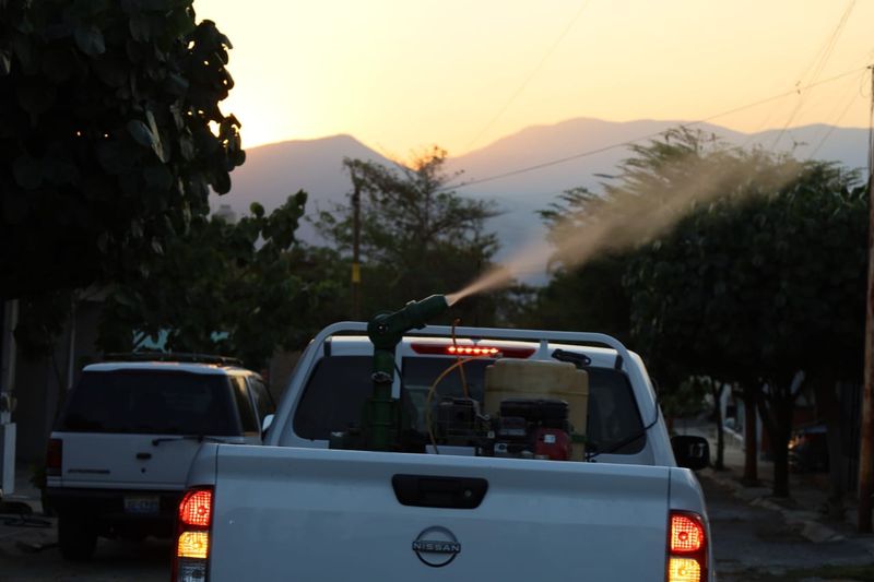 En este momento estás viendo Fumiga Salud contra el dengue en los 5 municipios de riesgo, este jueves