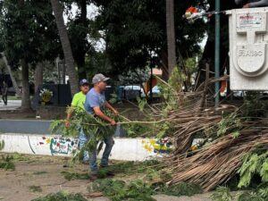 Lee más sobre el artículo Impulsa alcalde de Colima rescate de espacios públicos con brigadas de limpieza