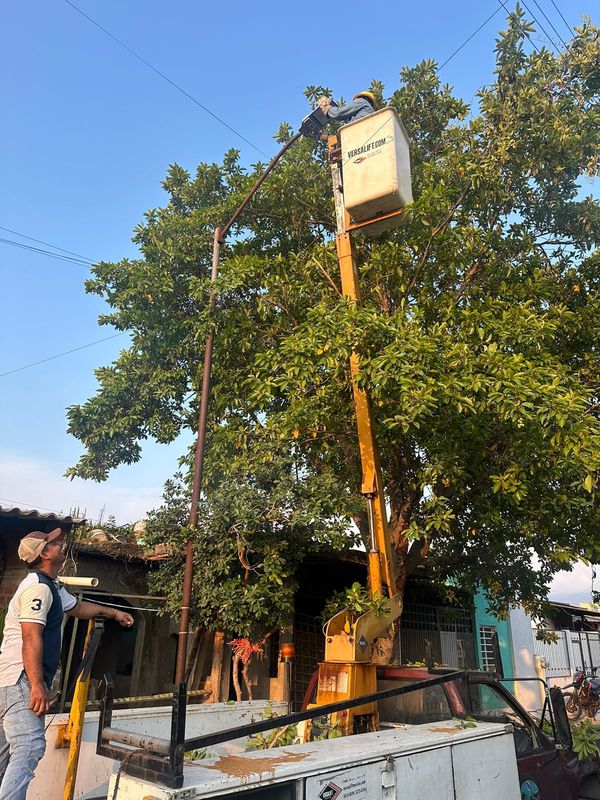 Rehabilita Dirección de Alumbrado Público luminarias en de Tecomán