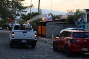 Lee más sobre el artículo Fumigarán contra el dengue en 5 municipios este viernes