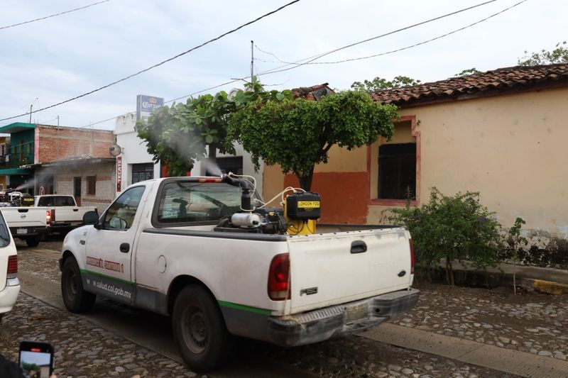 En este momento estás viendo Fumigarán contra el dengue en Armería, Comala, Coquimatlán y Manzanillo este viernes