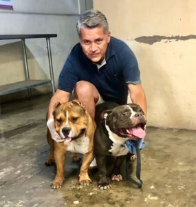 Lee más sobre el artículo Veterinario tecomense pide mucha responsabilidad para tener un Pitbull en casa