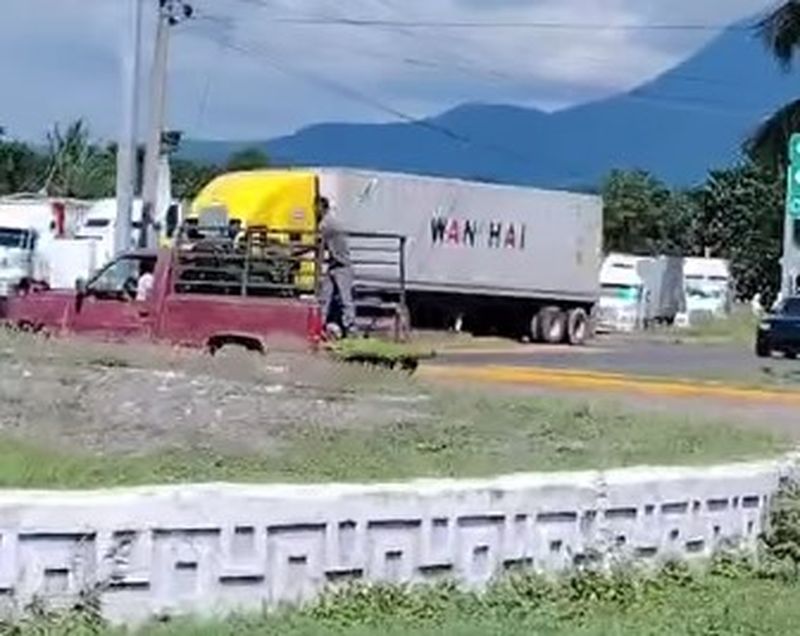 En este momento estás viendo Productores de limón desesperados por el bajo precio de los limones