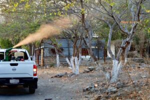 Lee más sobre el artículo Fumigarán contra el dengue, este viernes en Tecomán