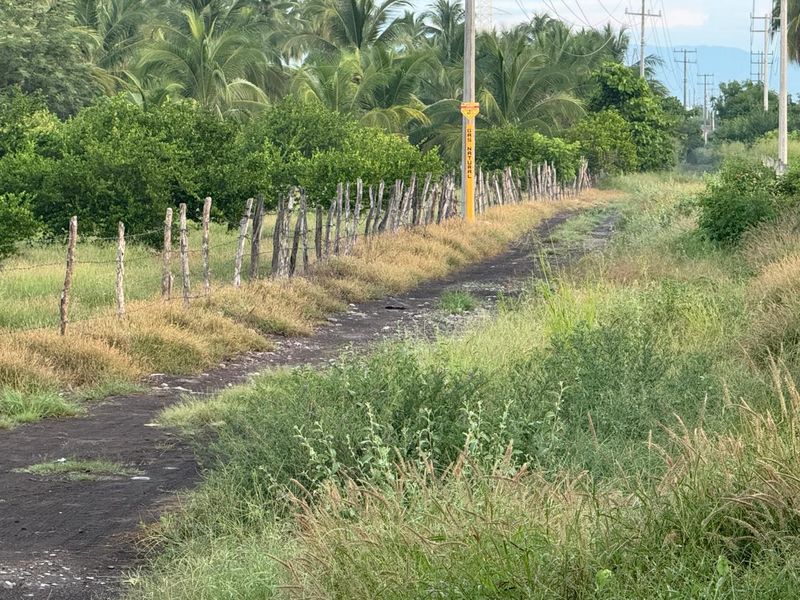 En este momento estás viendo Admiten que en Tecomán faltaron recursos para reparar caminos sacacosechas