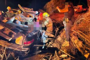 Lee más sobre el artículo Dos muertos y dos heridos tras volcadura de auto en Tecomán