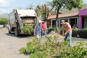 Lee más sobre el artículo Realiza Ayuntamiento de Armería poda de árboles en avenida Manuel Álvarez