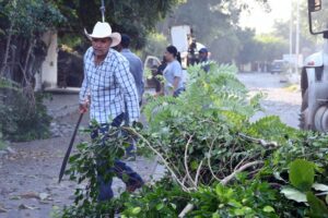 Lee más sobre el artículo Podan árboles para mejorar visibilidad de cámaras de seguridad en Armería