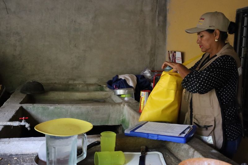 En este momento estás viendo Llevarán larvicida contra mosquitos a 6 municipios de Colima