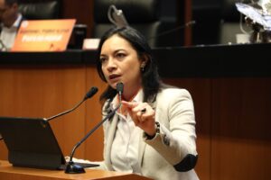 Lee más sobre el artículo Critica Mely Romero la ‘desaparición de organismos autónomos’