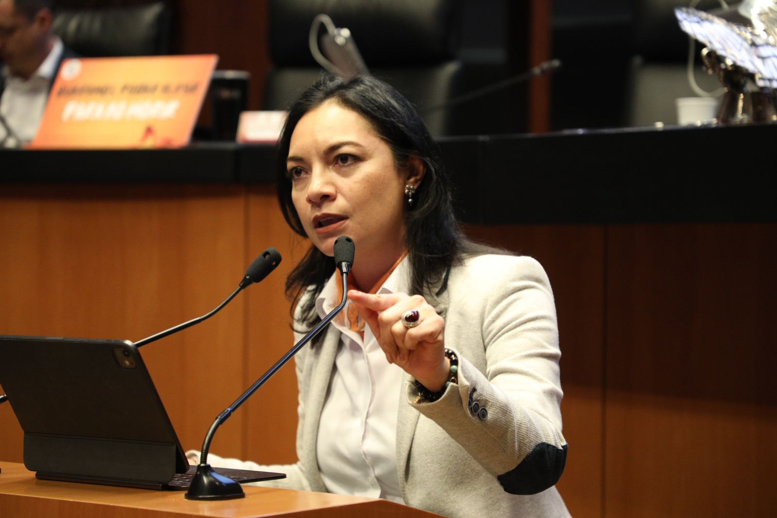 En este momento estás viendo Critica Mely Romero la ‘desaparición de organismos autónomos’