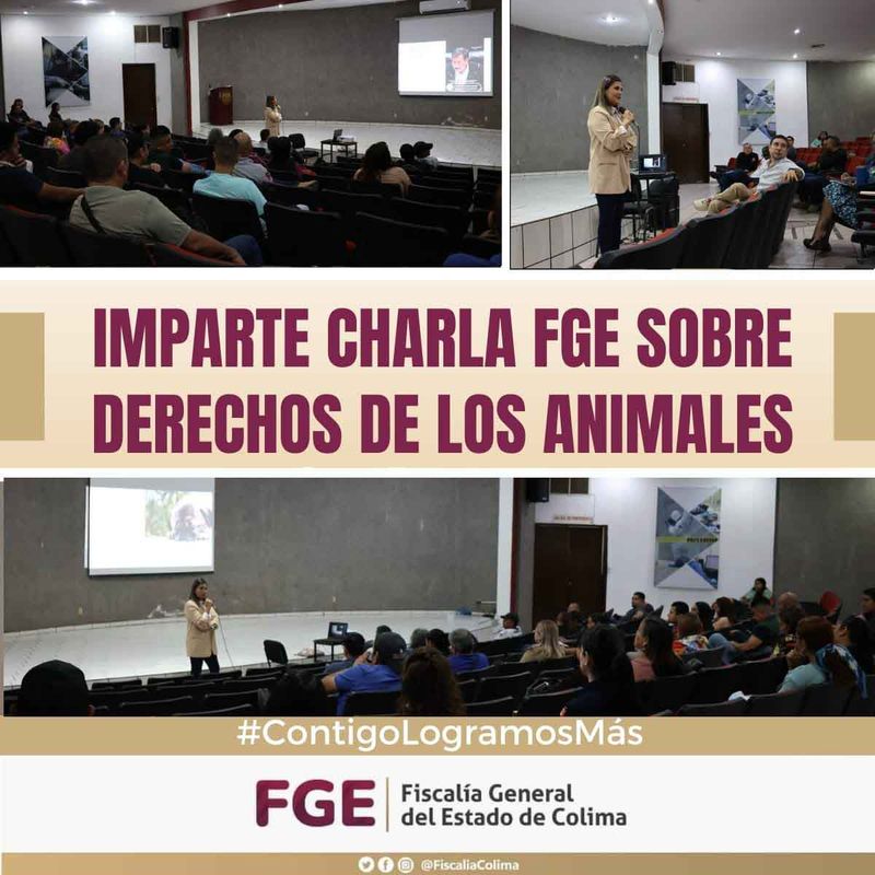 En este momento estás viendo Imparten charla sobre derechos de los animales