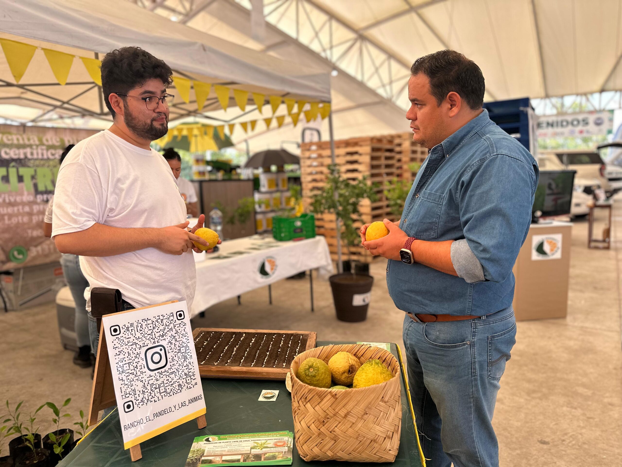 En este momento estás viendo David Grajales presente en Expo Agroalimentaria de Tecomán