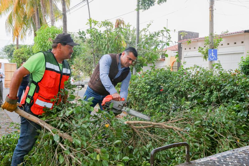 En este momento estás viendo Arranca alcalde de Colima con mega poda de árboles en Las Palmas