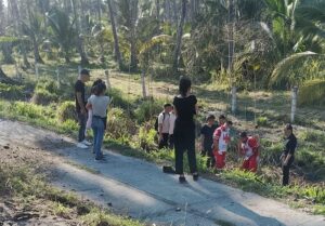 Lee más sobre el artículo Joven se impacta contra un toro en la carretera a Pascuales