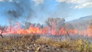 Lee más sobre el artículo Preparados Bomberos de Tecomán para una temporada de incendios complicada