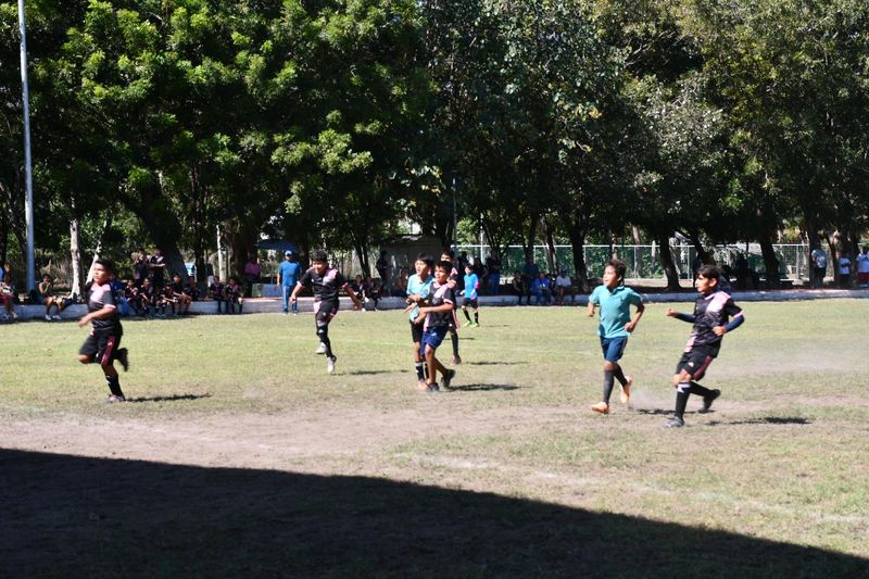 En este momento estás viendo Organizan el Primer Torneo Relámpago de Fútbol Infantil en Armería