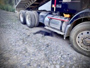 Lee más sobre el artículo Denuncian envenenamiento masivo de perros y gatos en la zona centro de Armería