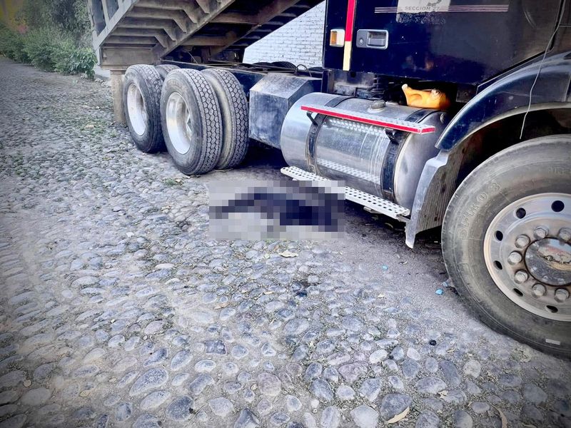 En este momento estás viendo Denuncian envenenamiento masivo de perros y gatos en la zona centro de Armería