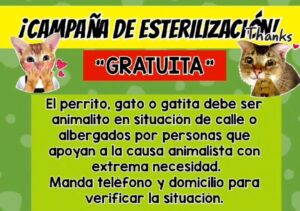 Lee más sobre el artículo Campaña gratuita de esterilización de animales callejeros en Tecomán: 15 y 16 de enero