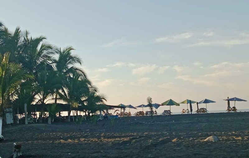 En este momento estás viendo Preocupación en Boca de Pascuales por vehículos en la playa